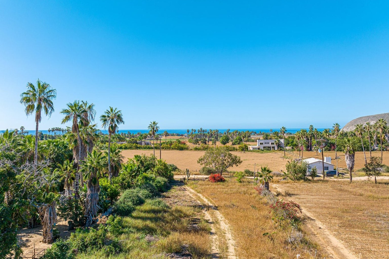 Palms and the Pacific at El Pescadero, Baja California Sur